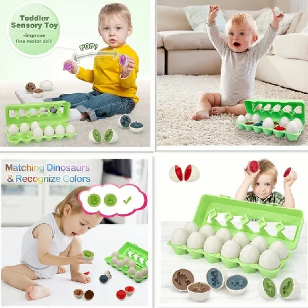 Juego Didáctico Para Niños, Juguete Educativo Huevos Colores