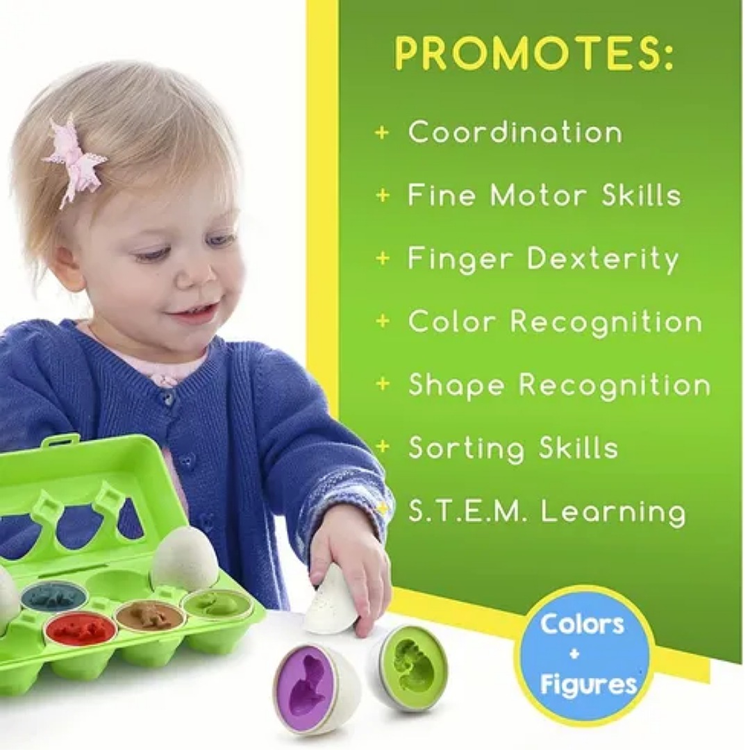 Juego Didáctico Para Niños, Juguete Educativo Huevos Colores