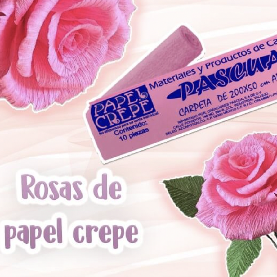 10 papel de crepe papel de seda multicolor 200x50CM DIY MANUALIDAD Diseños y decoracion