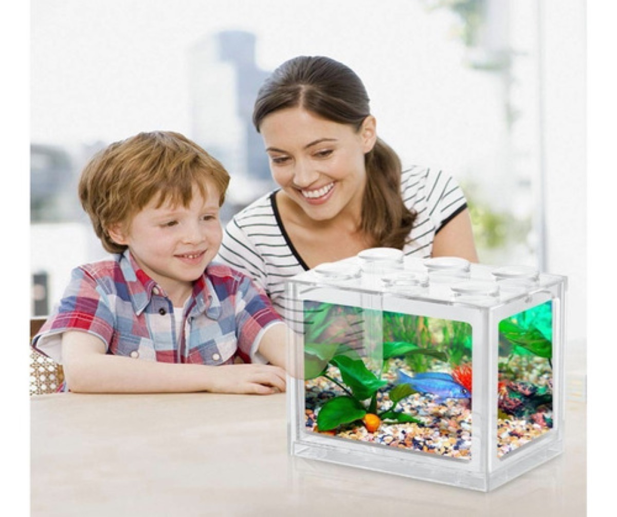 Mini Pecera Transparente Para Pez Beta Con Luz 