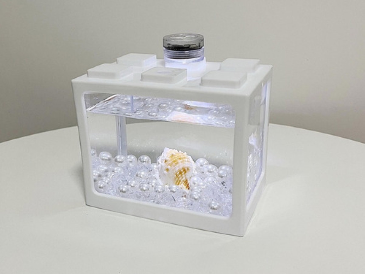Mini Pecera Transparente Para Pez Beta Con Luz 