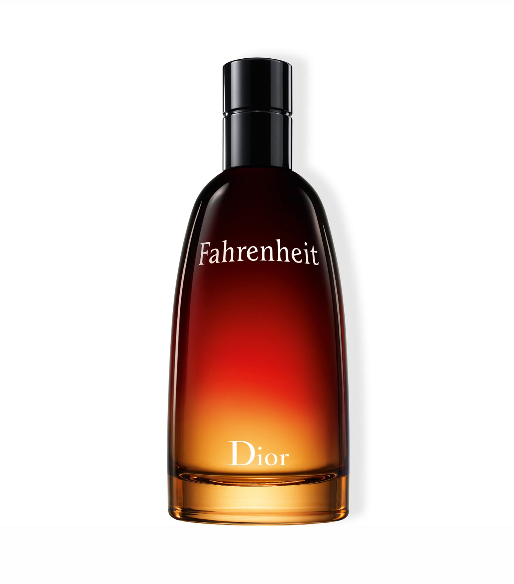 Perfume Fahrenheit Eau de Toilette 100 ml Caballero