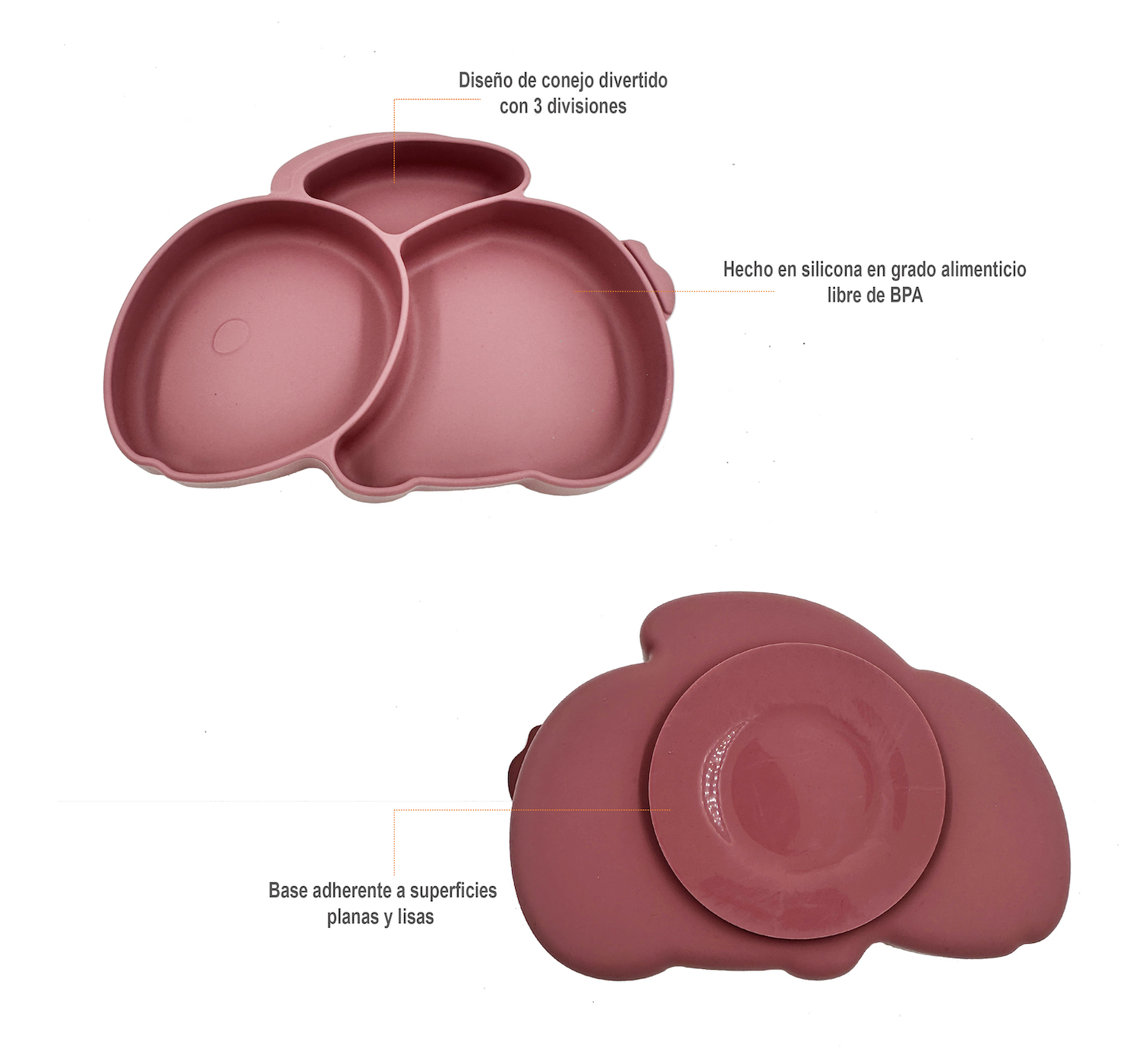 Plato con Cubiertos para Bebé, Plato con Divisiones Adherente Diseño Conejo