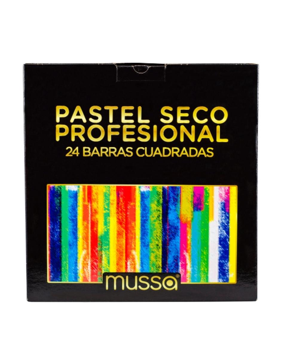 Gises Pastel Profesional Caja con 24 Gises Marca Mussa