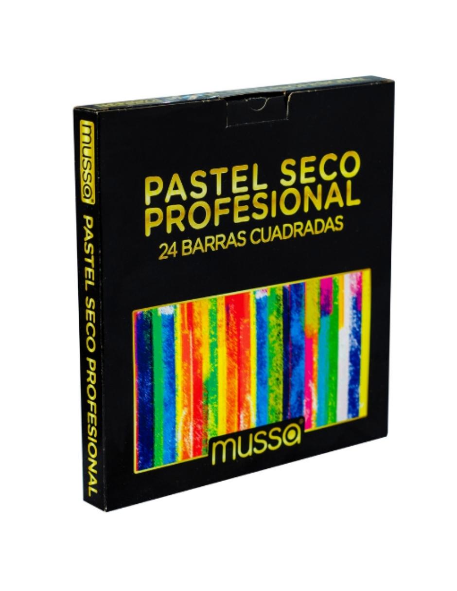 Gises Pastel Profesional Caja con 24 Gises Marca Mussa