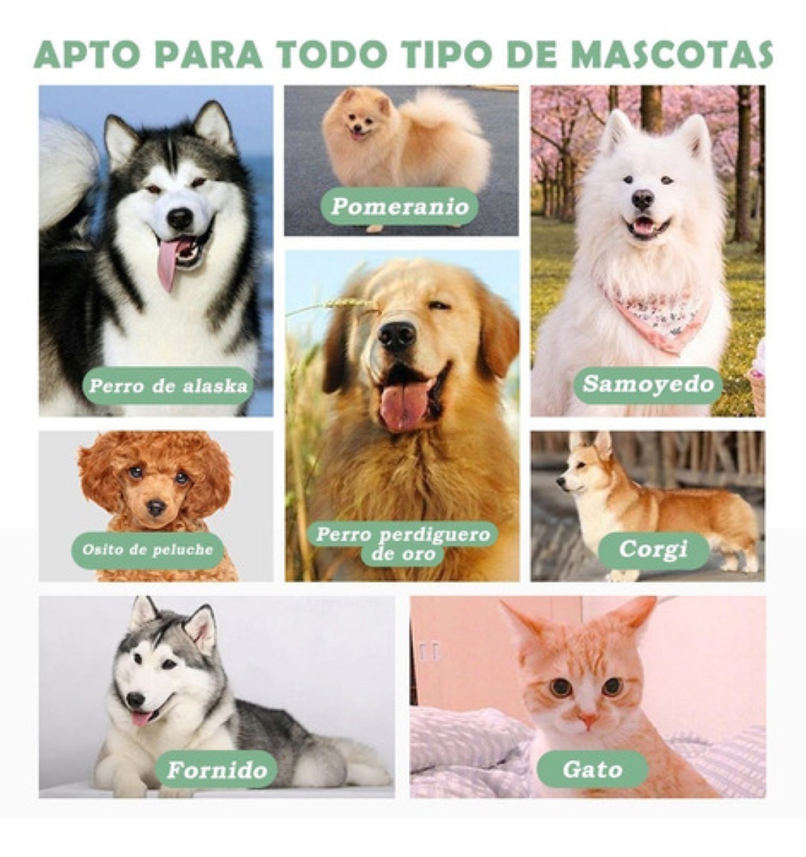 Cepillo Deslanador Para Mascotas Naranja