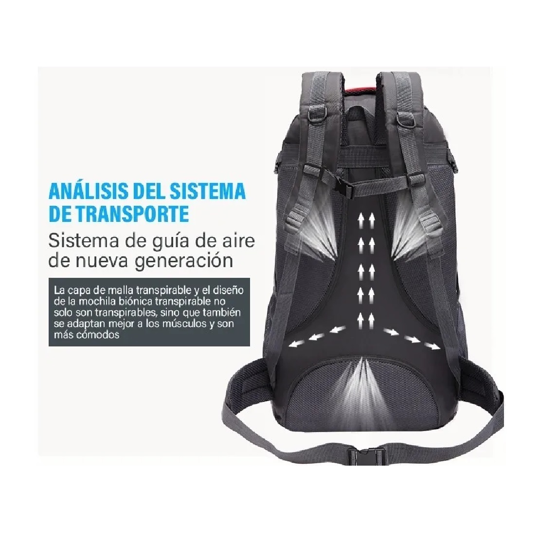 Mochila Impermeable De Viaje 60l Para Senderismo Montañismo