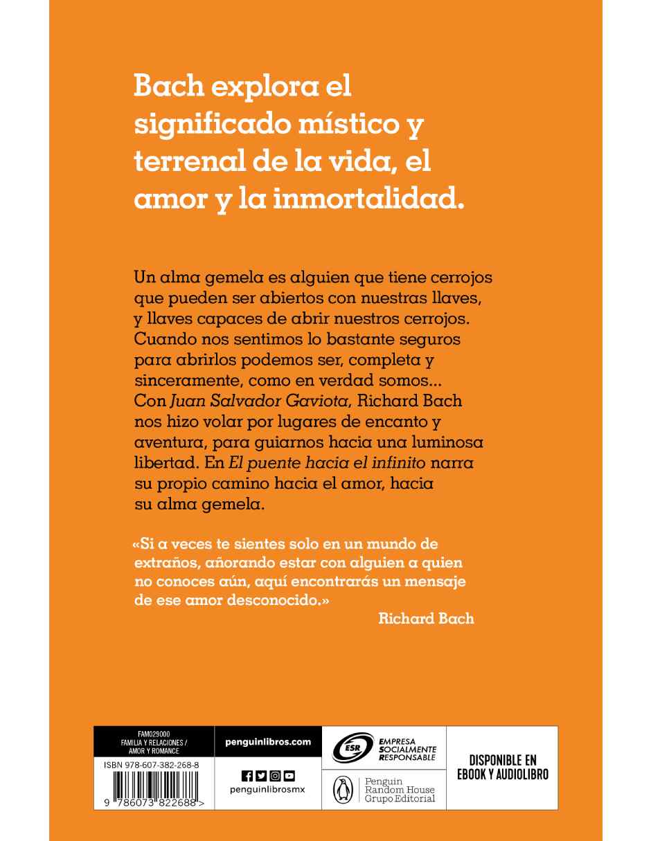 El puente hacia el infinito Autor Bach, Richard