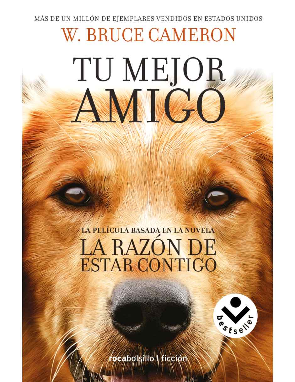 La razón de estar contigo Autor Cameron, W. Bruce Bruce