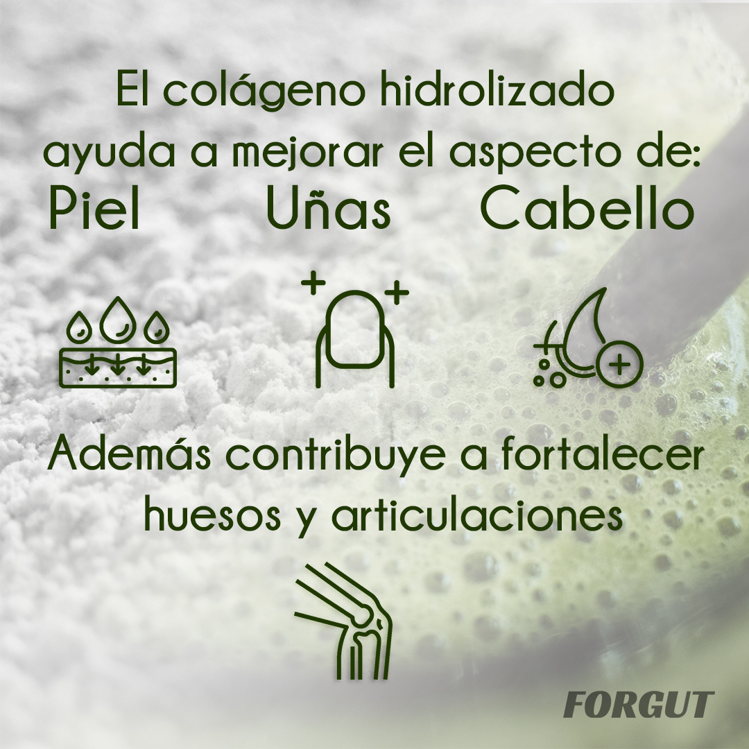 Forgut Colageno en Polvo 300 Gramos + Vitamina C