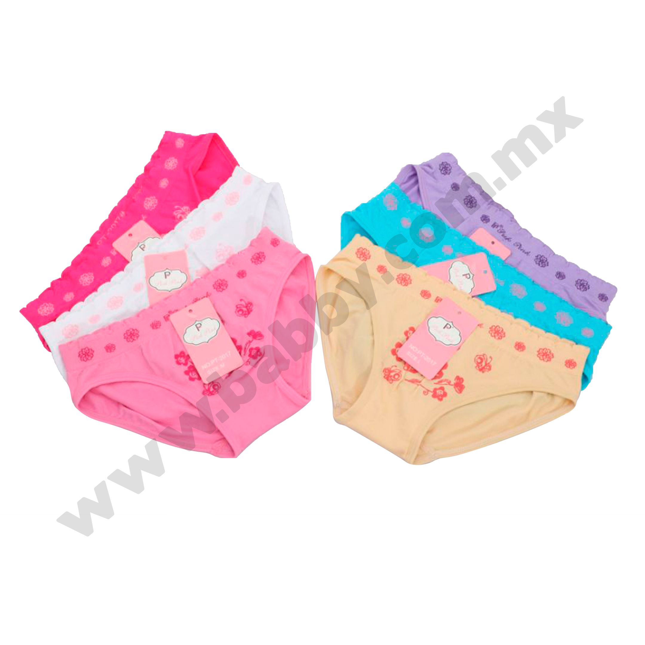 Ropa Interior Niña Pantaleta Calzón Paquete 12 Piezas