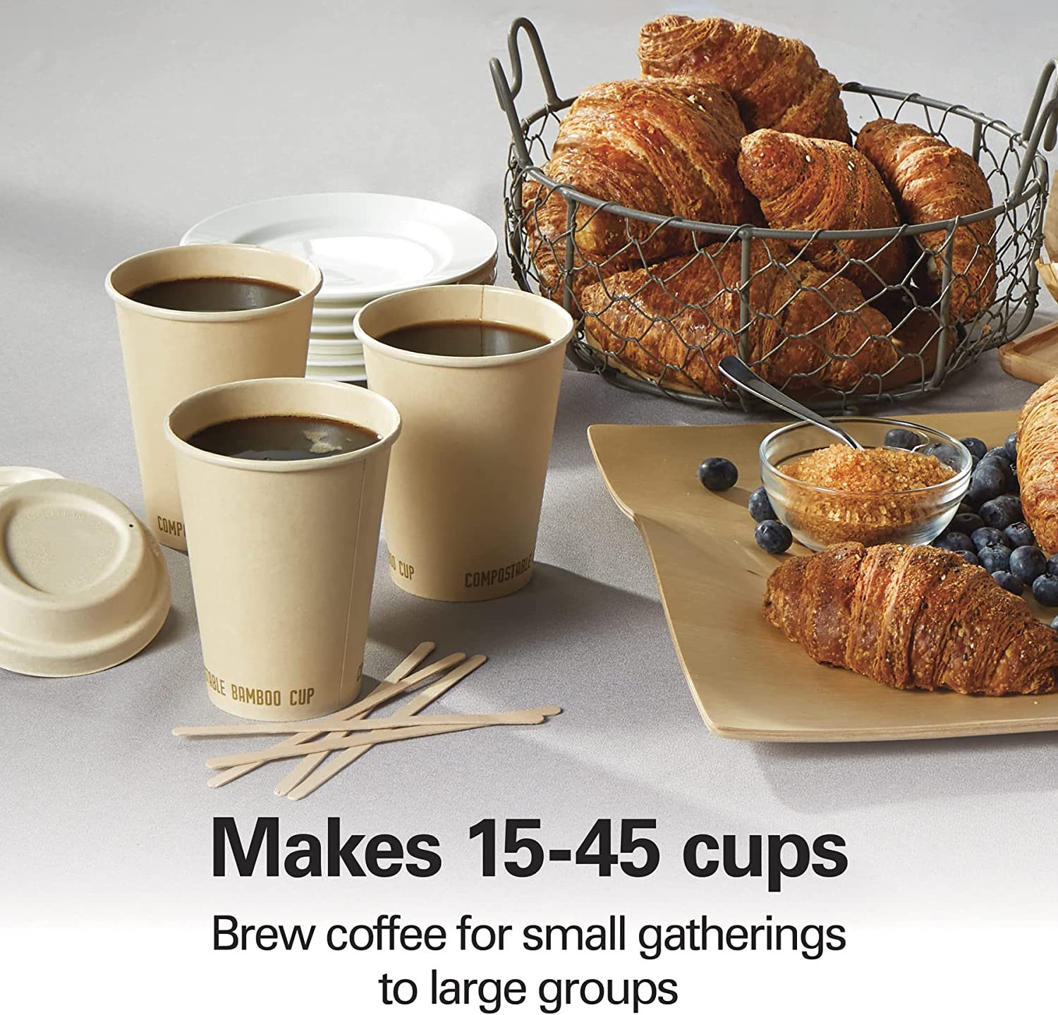 Hamilton Beach 40519 - Urna de café (45 tazas, acero inoxidable)