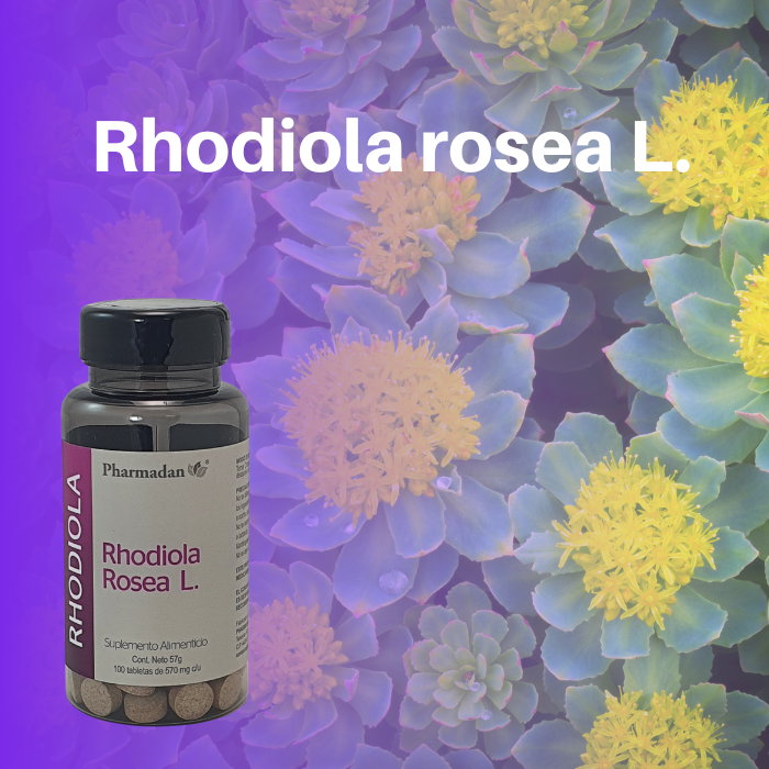 Rhodiola Rosea 100 Tabletas 570 mg Pharmadan