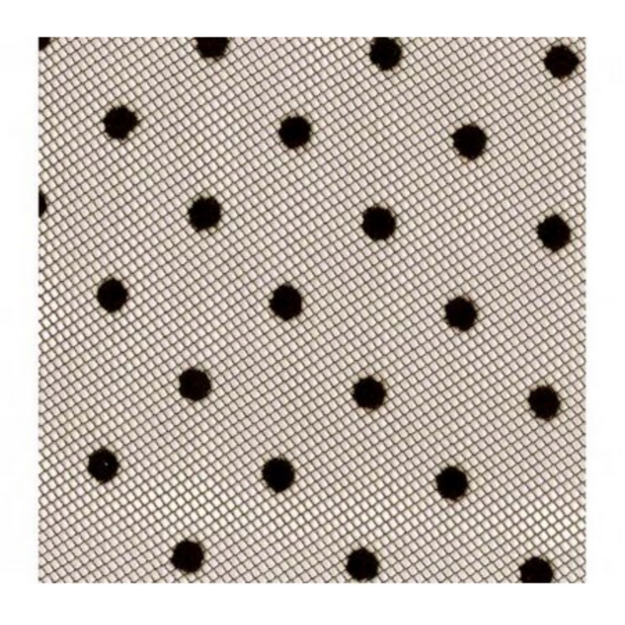 Medias Red De Puntos Mujer Unitalla Moda Kawaii Sensual Fiesta