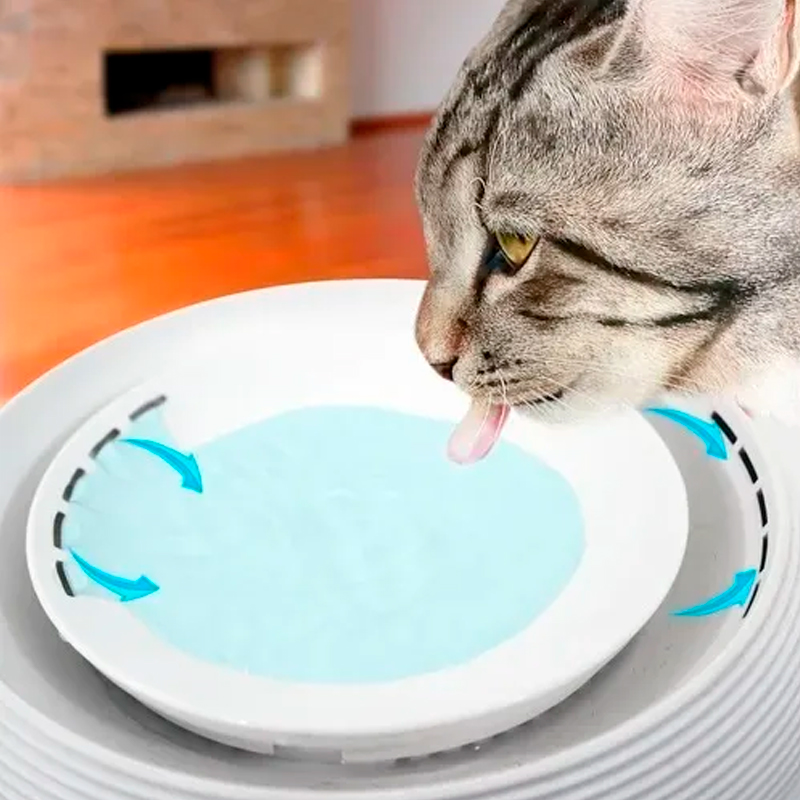 Bebedero Automatico Para Perros Y Gatos Con Filtro Fuente Para Gato