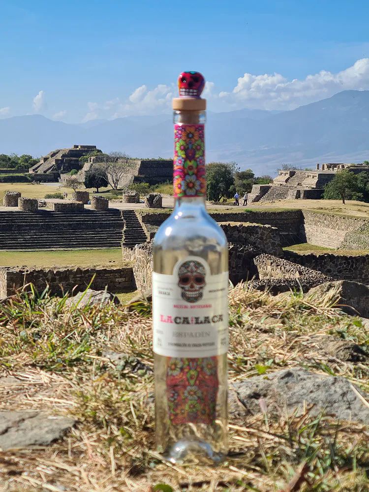 6 Botellas Mezcal Artesanal 100% Agave Joven 750ml Laca Laca.