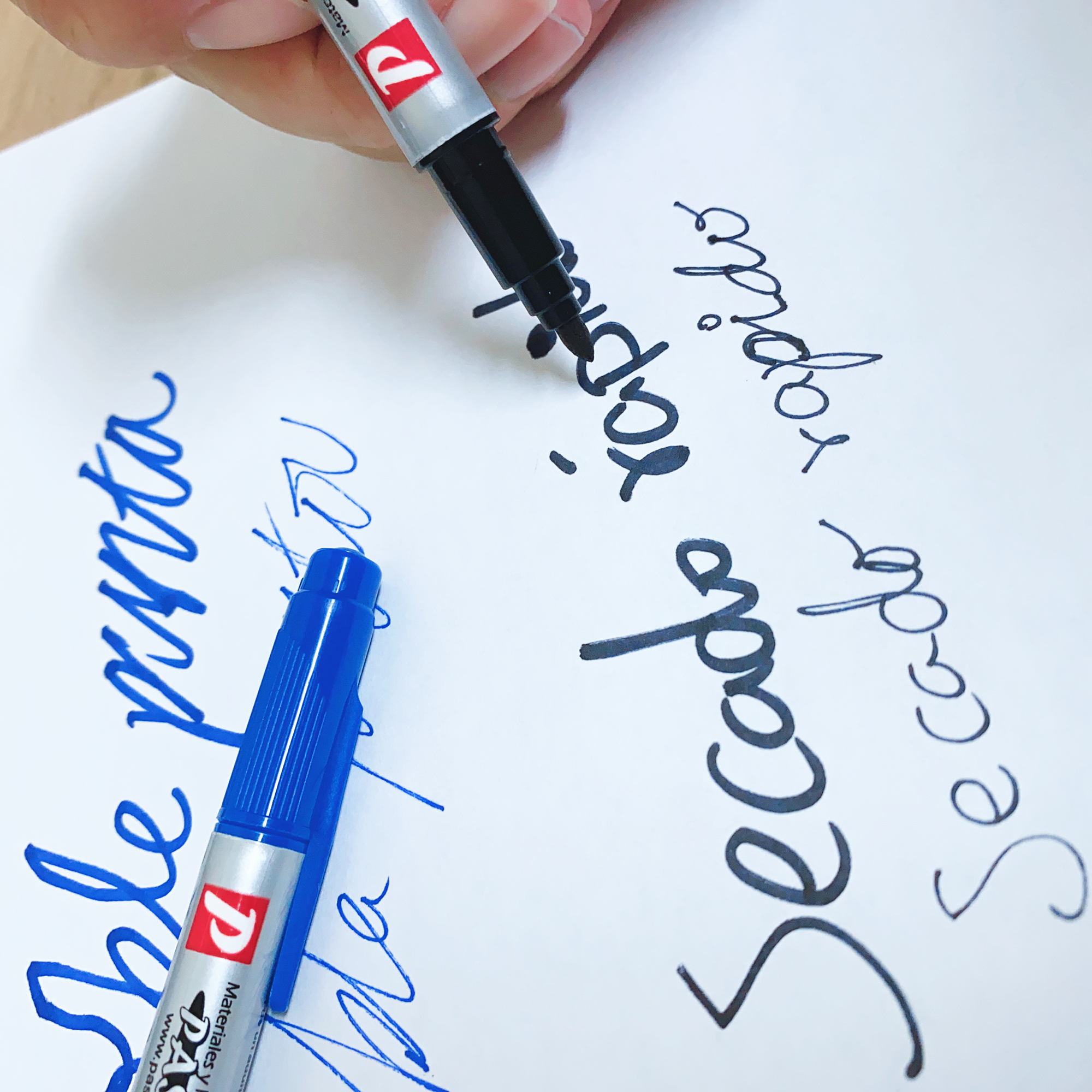 Caja12 Marcadores plumas doble punta permanente para manualidades Color varios