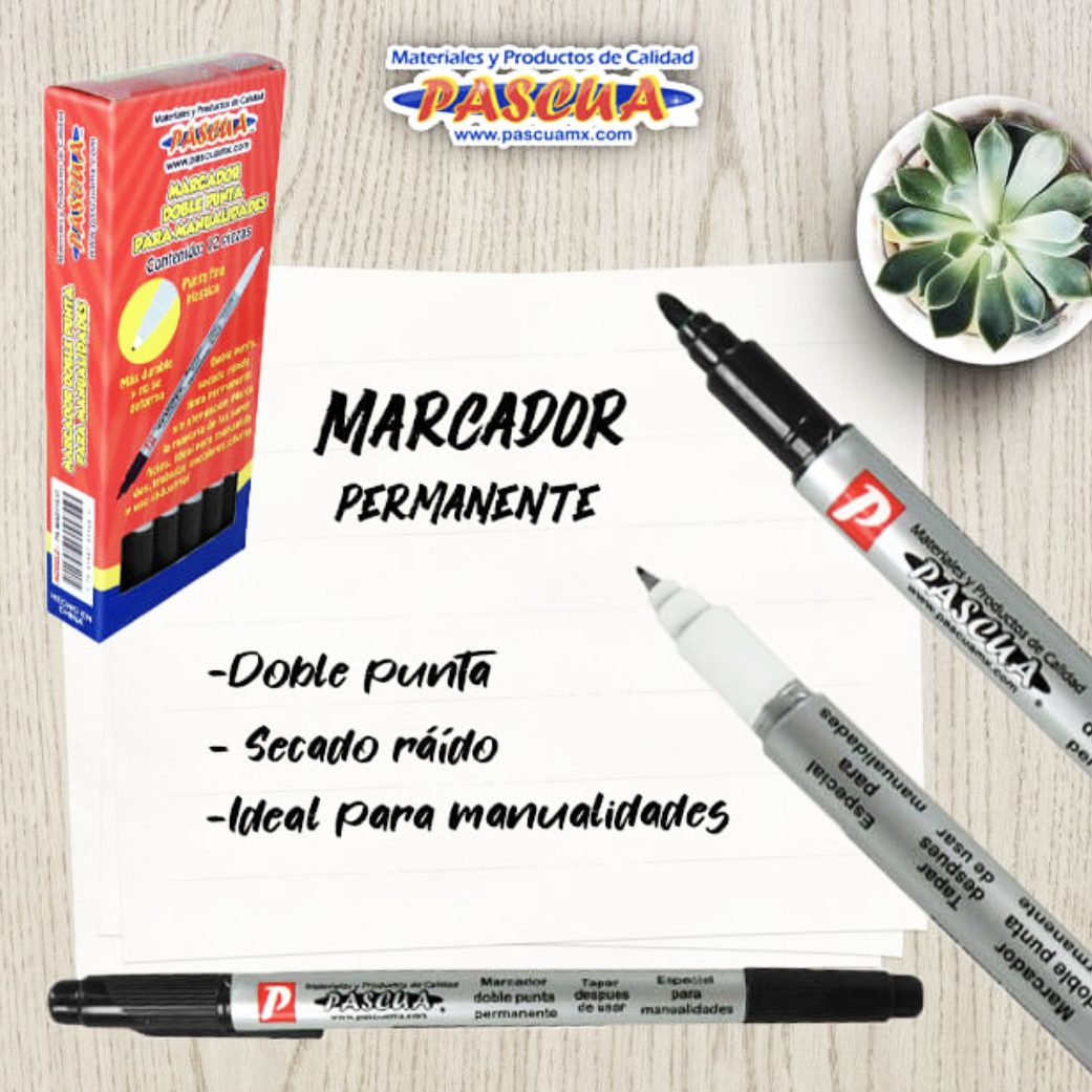 Caja12 Marcadores plumas doble punta permanente para manualidades Color varios