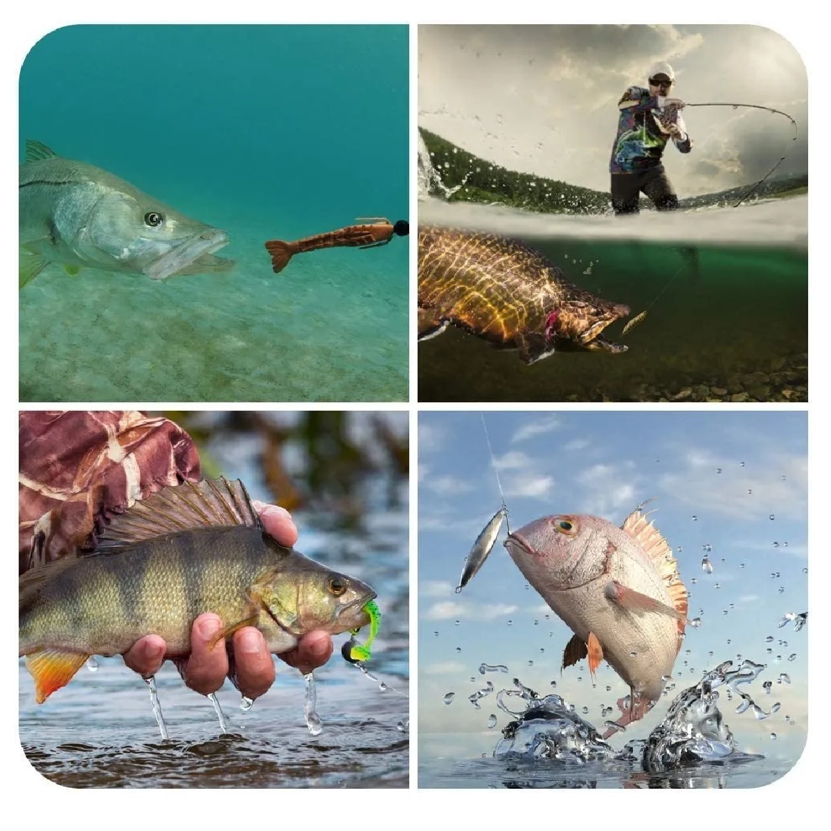 Kit  De Señuelos Para Pesca 