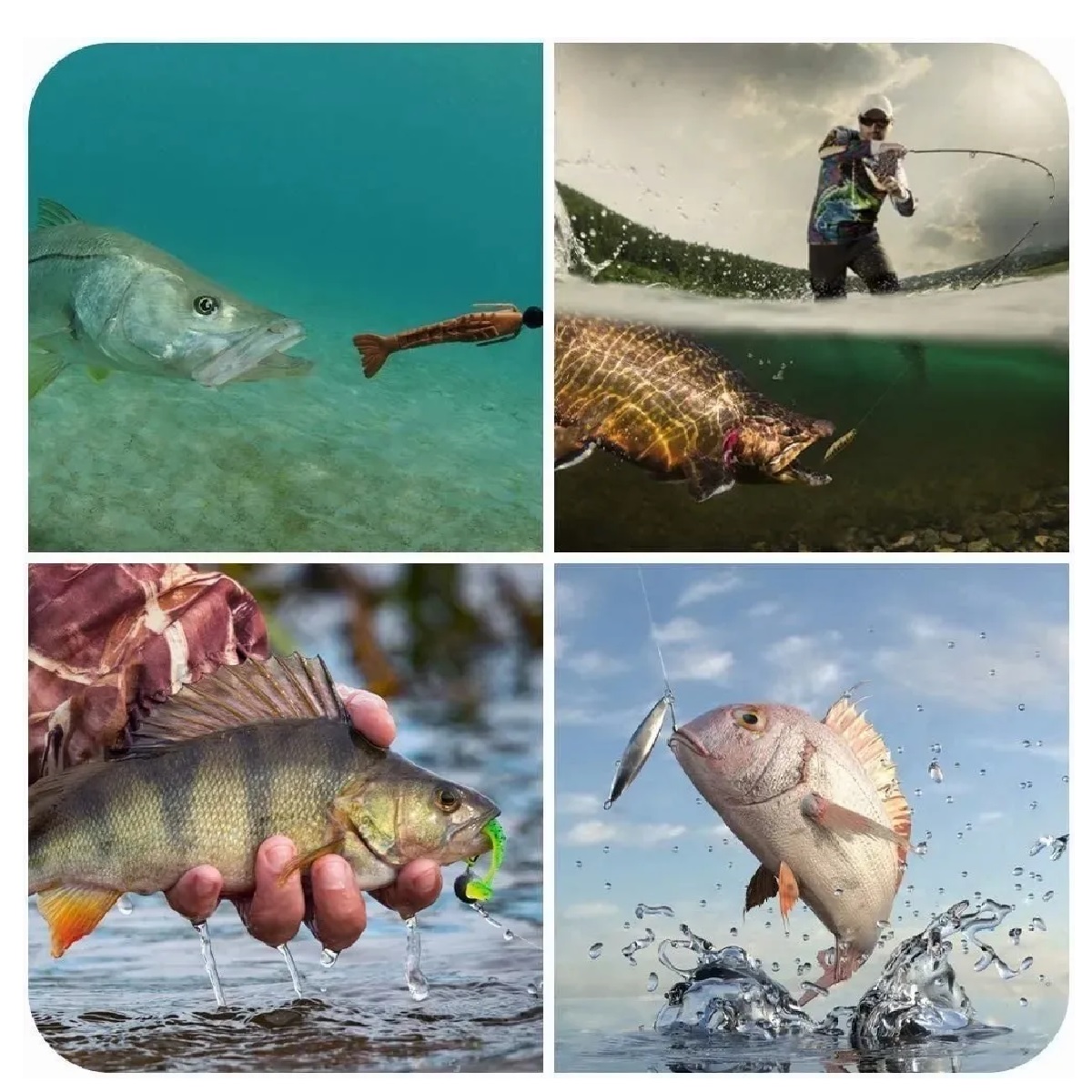 KIT SEÑUELOS CURRICANES REALISTAS PARA  PESCA RÍO MAR