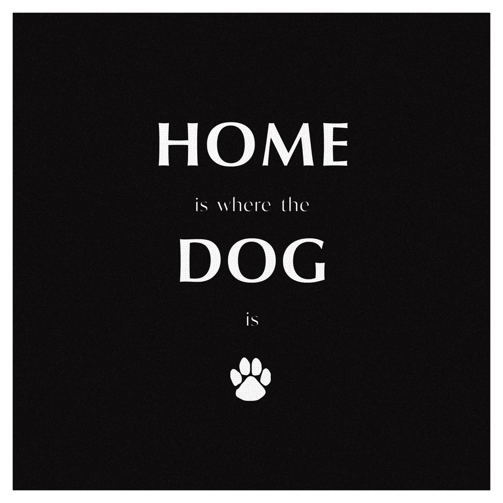 Cuadro Decorativo - Perro casero en negro