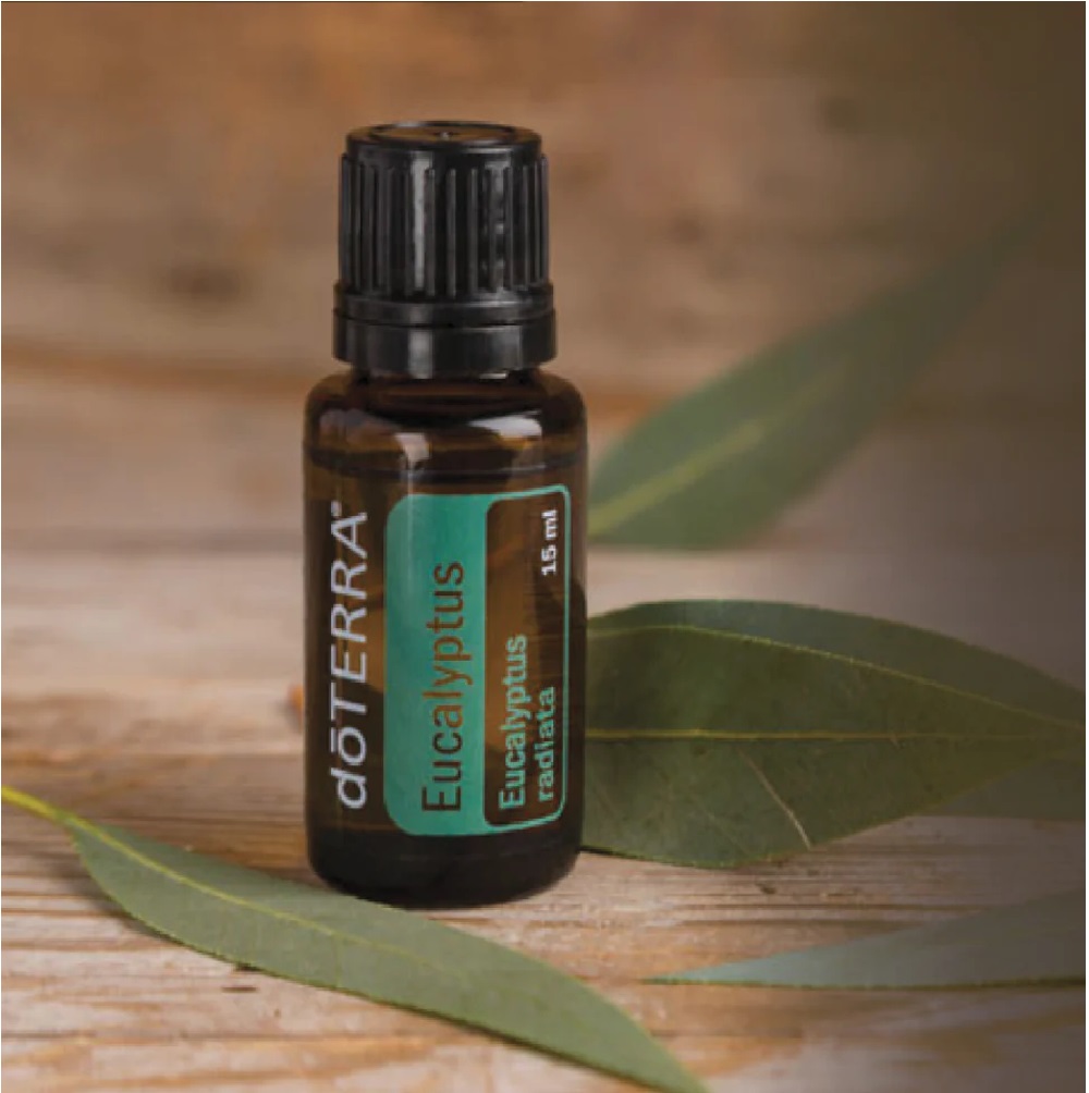 Aceite Esencial doTERRA Eucalipto 15ml