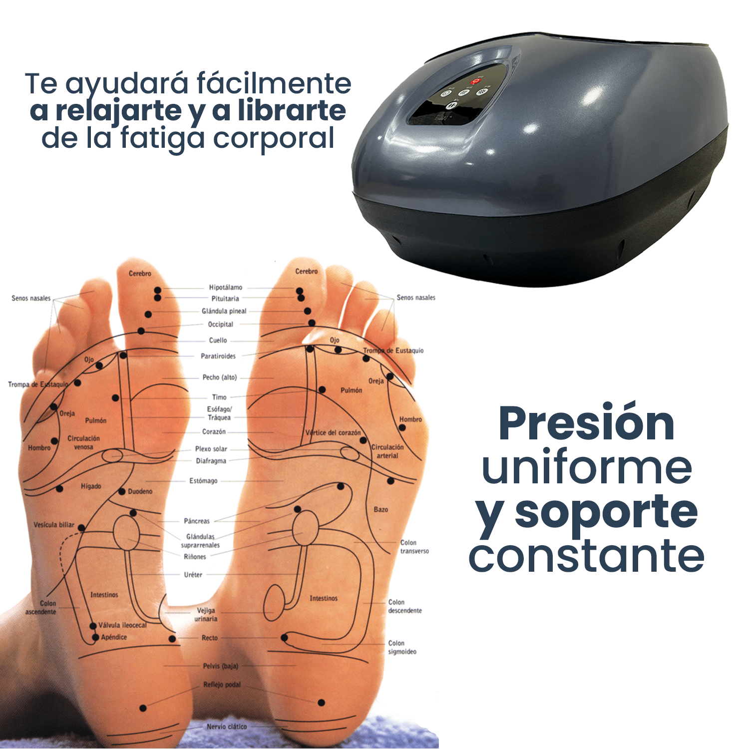 Masajeador Electrico Profesional De Pies Intrax Gelder