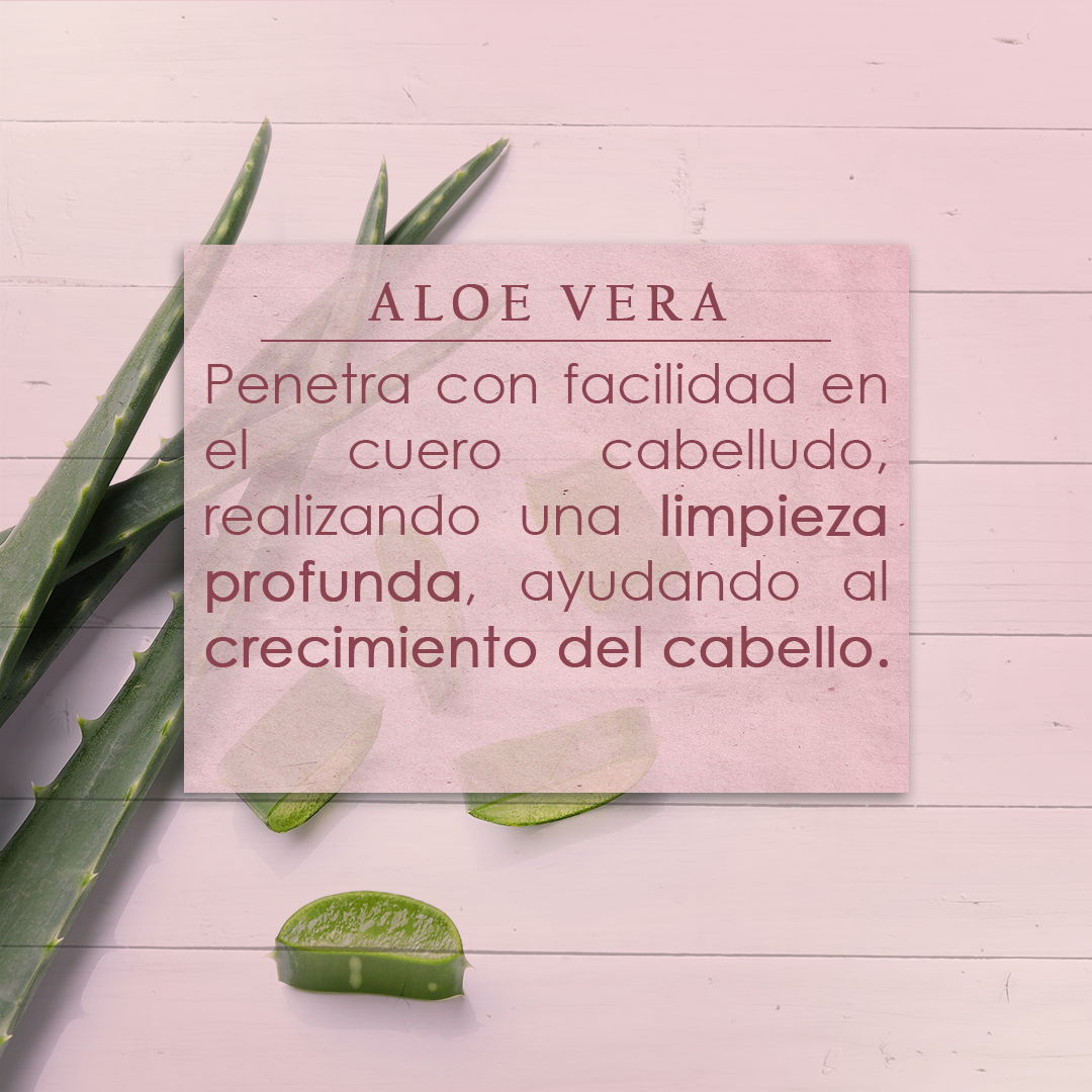 Shampoo Anticaída Orgánico Sin Sulfatos ni Parabenos 