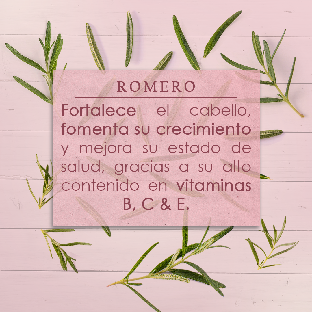 Shampoo Anticaída Orgánico Sin Sulfatos ni Parabenos 