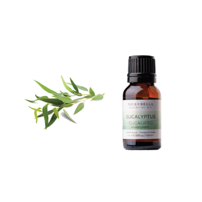 ACEITE ESENCIAL NICE EUCALIPTO Eucalyptus Blobulus