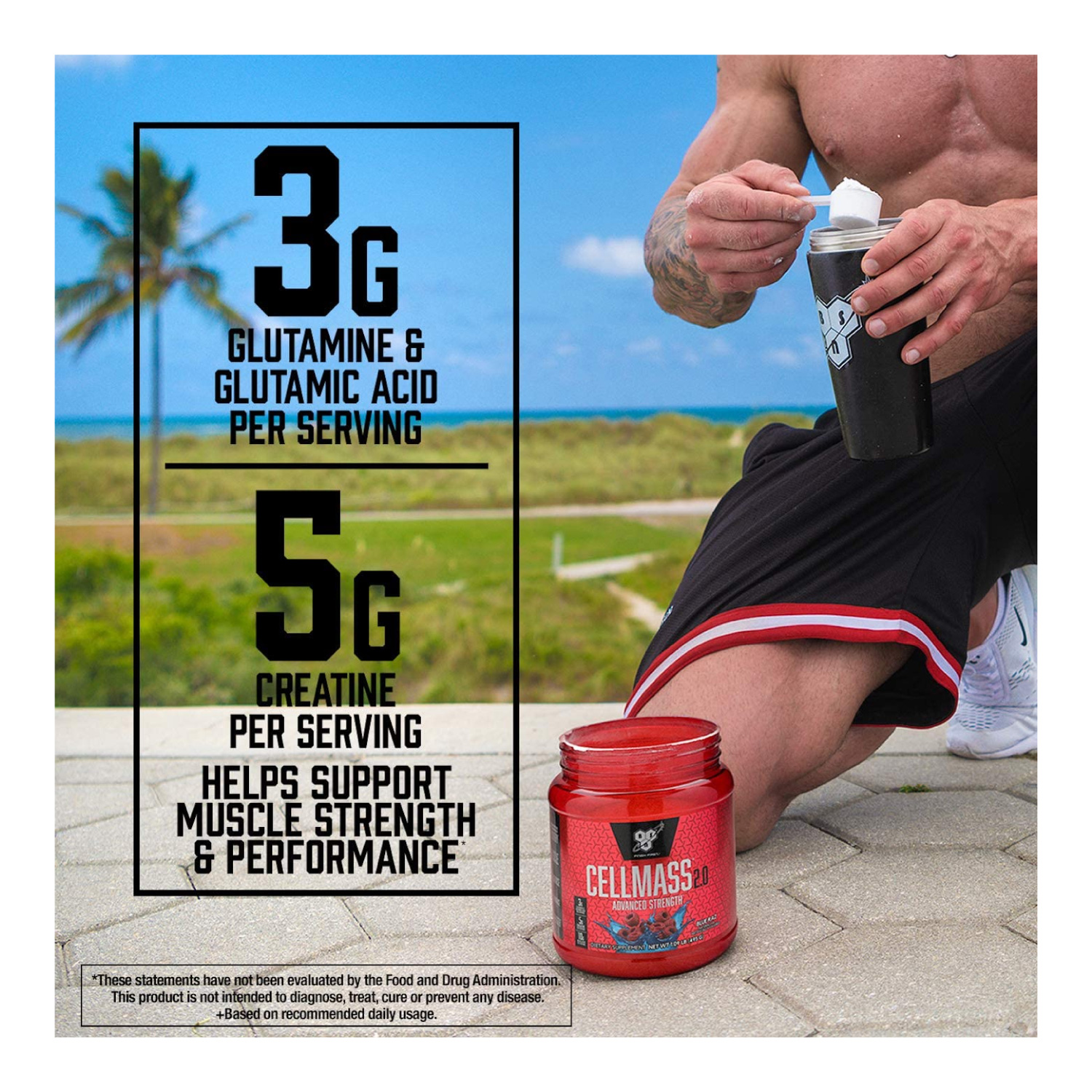 Sistema de Creatina y Aminoacidos BSN CellMass 2.0 495g 25 Serv. - Arctic Berry