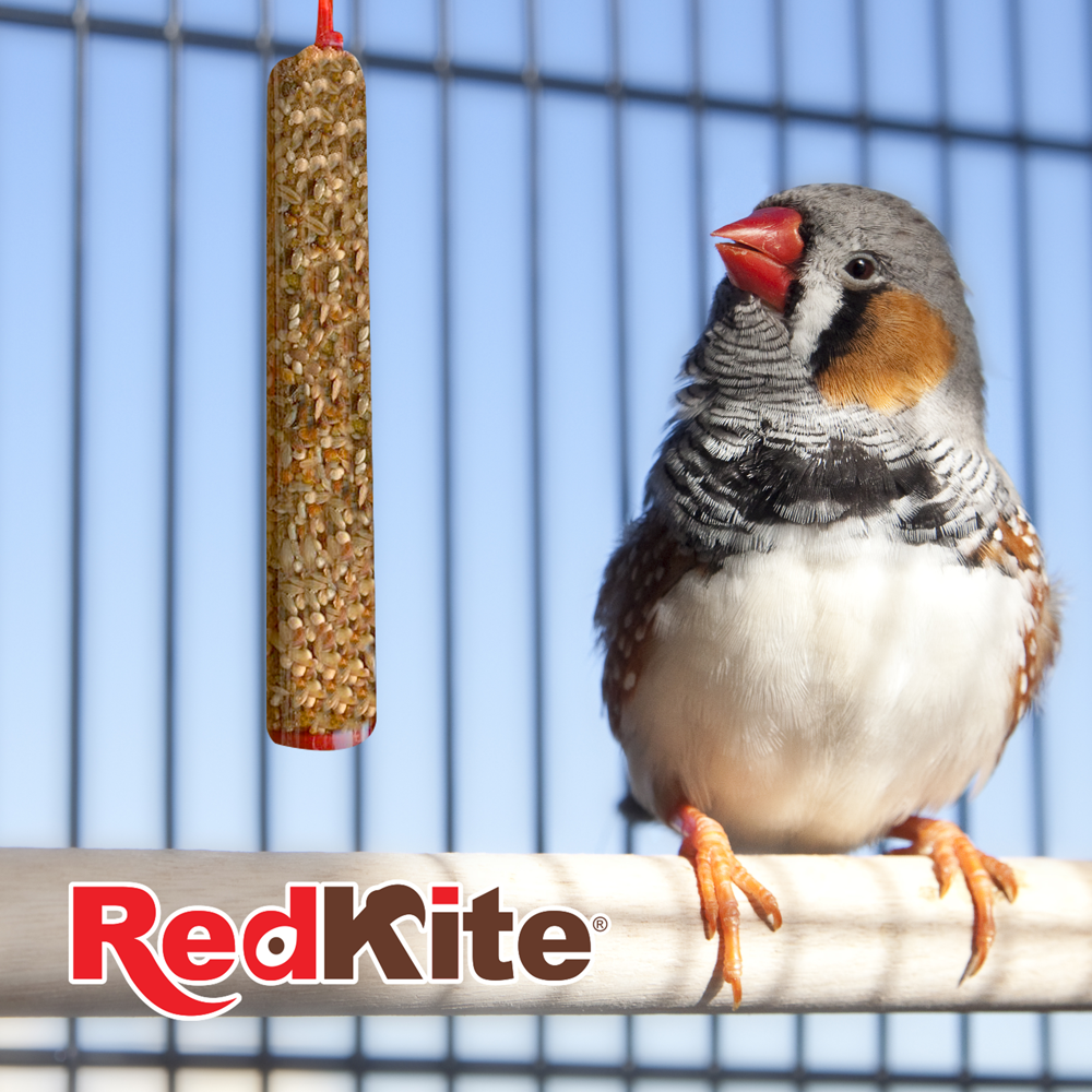 Barrita para aves Canoras con alto nivel de proteina 2pzas