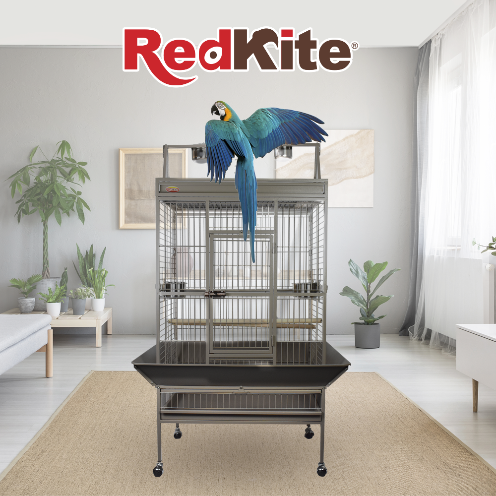 JAULA GUAYAQUIL II P/LORO