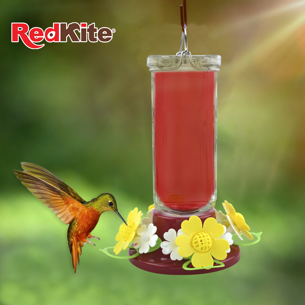 BEBEDERO DE VIDRIO PRISMA P/COLIBRÍ 600 ML