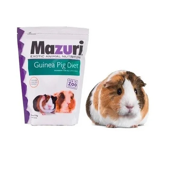 Mazuri best sale guinea pig