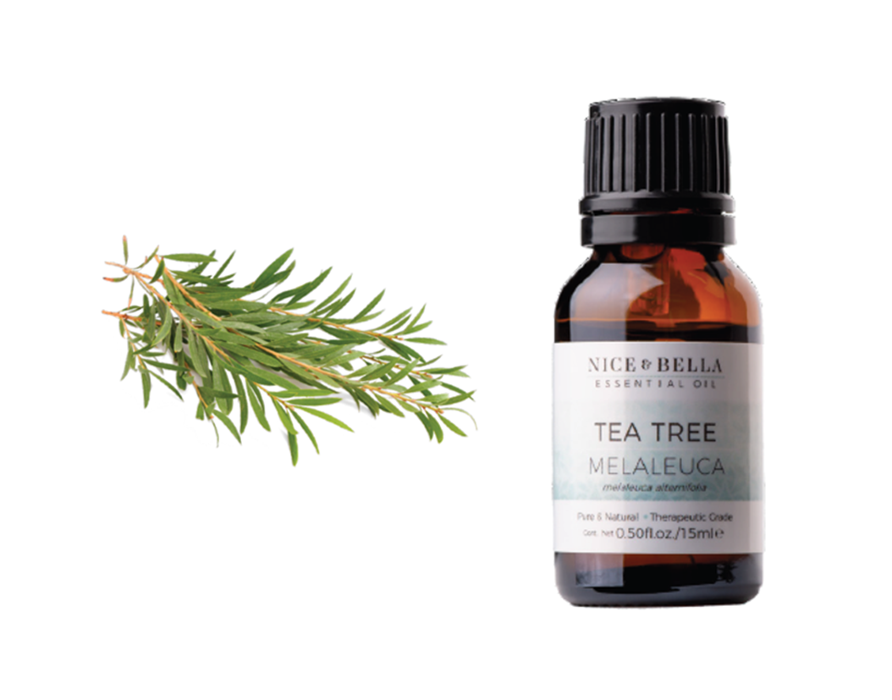 ACEITE ESENCIAL NICE & BELLA MELALEUCA, ARBOL DE TÉ, Limpia, Libera