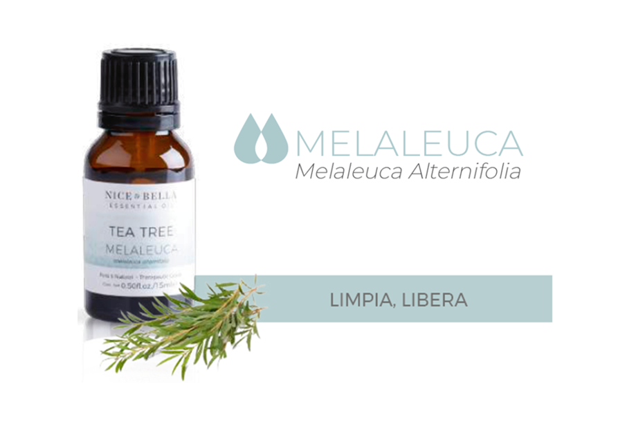 ACEITE ESENCIAL NICE & BELLA MELALEUCA, ARBOL DE TÉ, Limpia, Libera