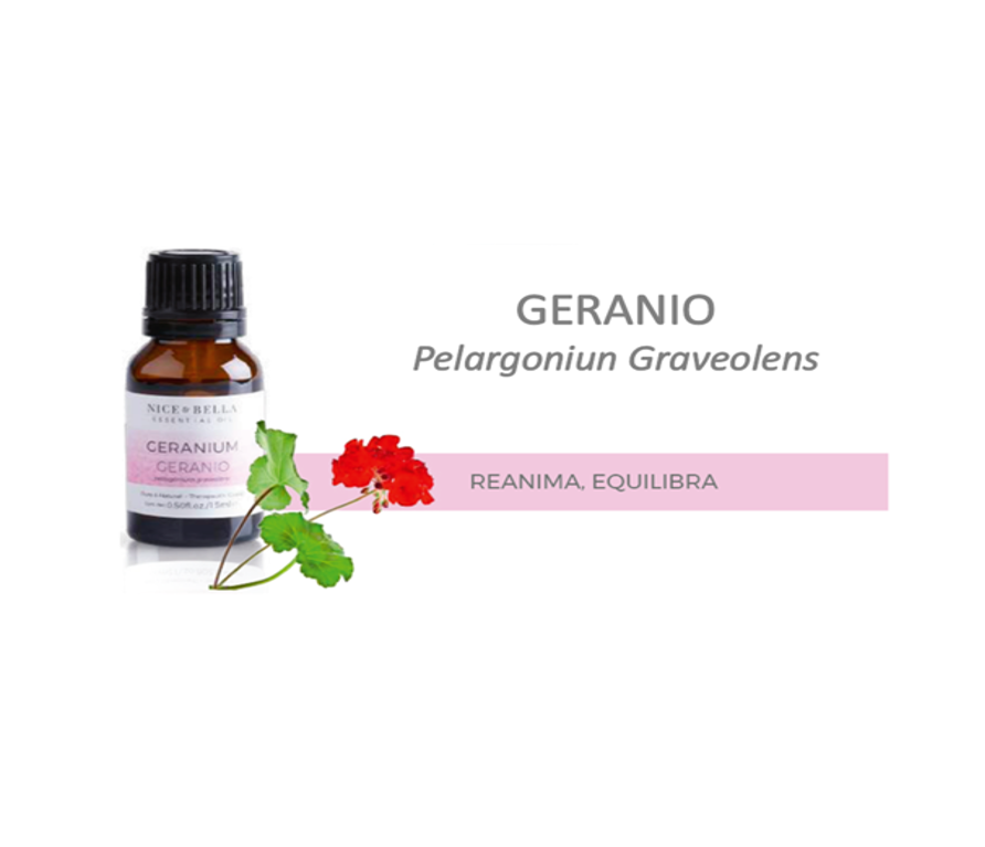 ACEITE ESENCIAL NICE & BELLA GERANIO Reanima, Equilibra.