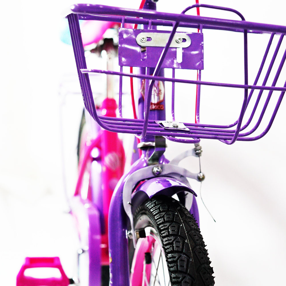 Bicicleta BM Bike R-20 Niña Fiusha con Morado