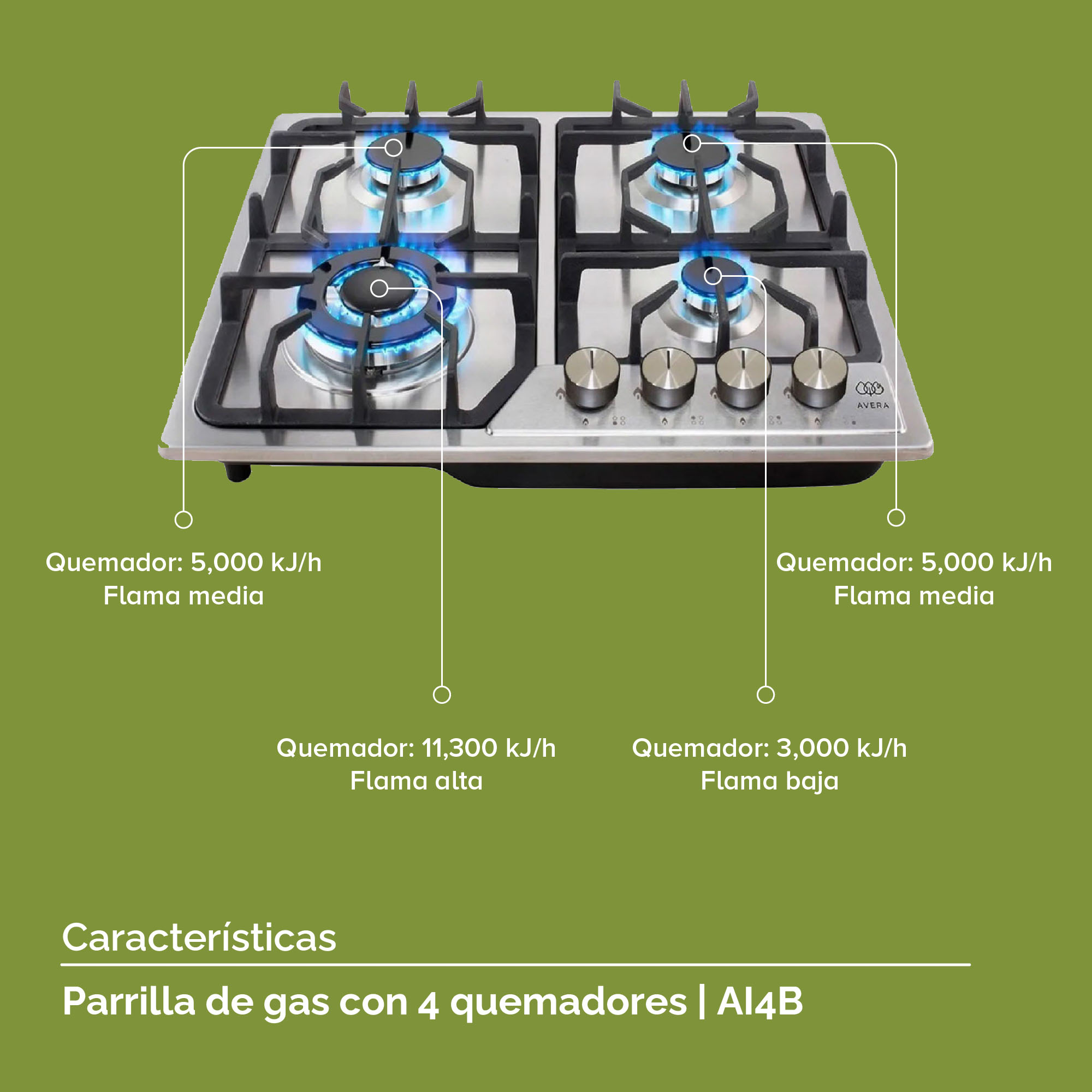 Parrilla de Gas Acero Inoxidable con 4 Quemadores  Avera AI4B