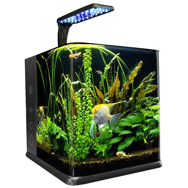 Acuario Nano Cubo 18 Litros Pecera Acuario
