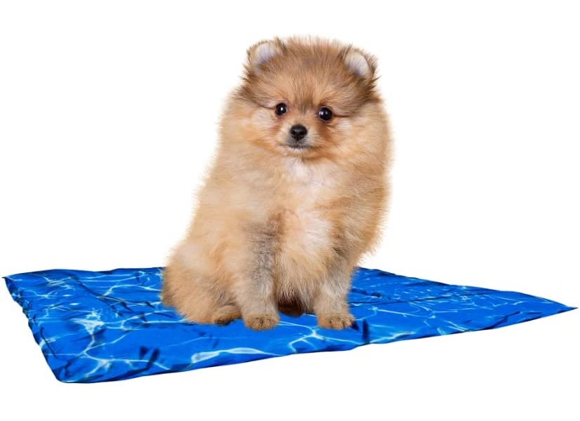 Cama Tapete Chico Refrescante Cool P/Perro Fl9852 Fancy Pets