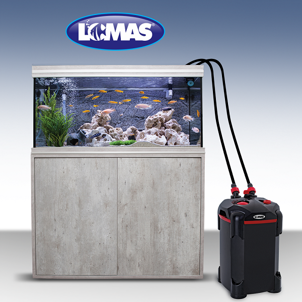 Filtro Canister Aquajet 300 Litros Peces Acuario