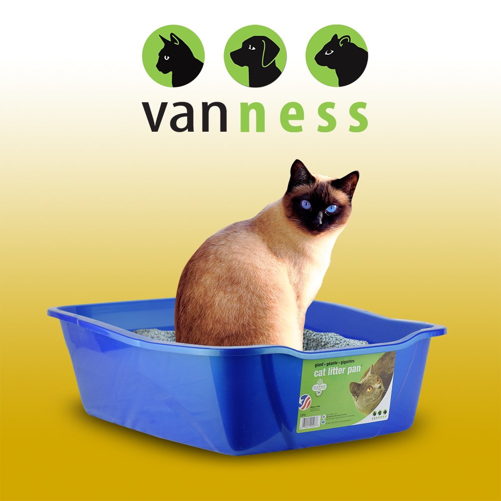 ARENERO GIGANTE P/GATO