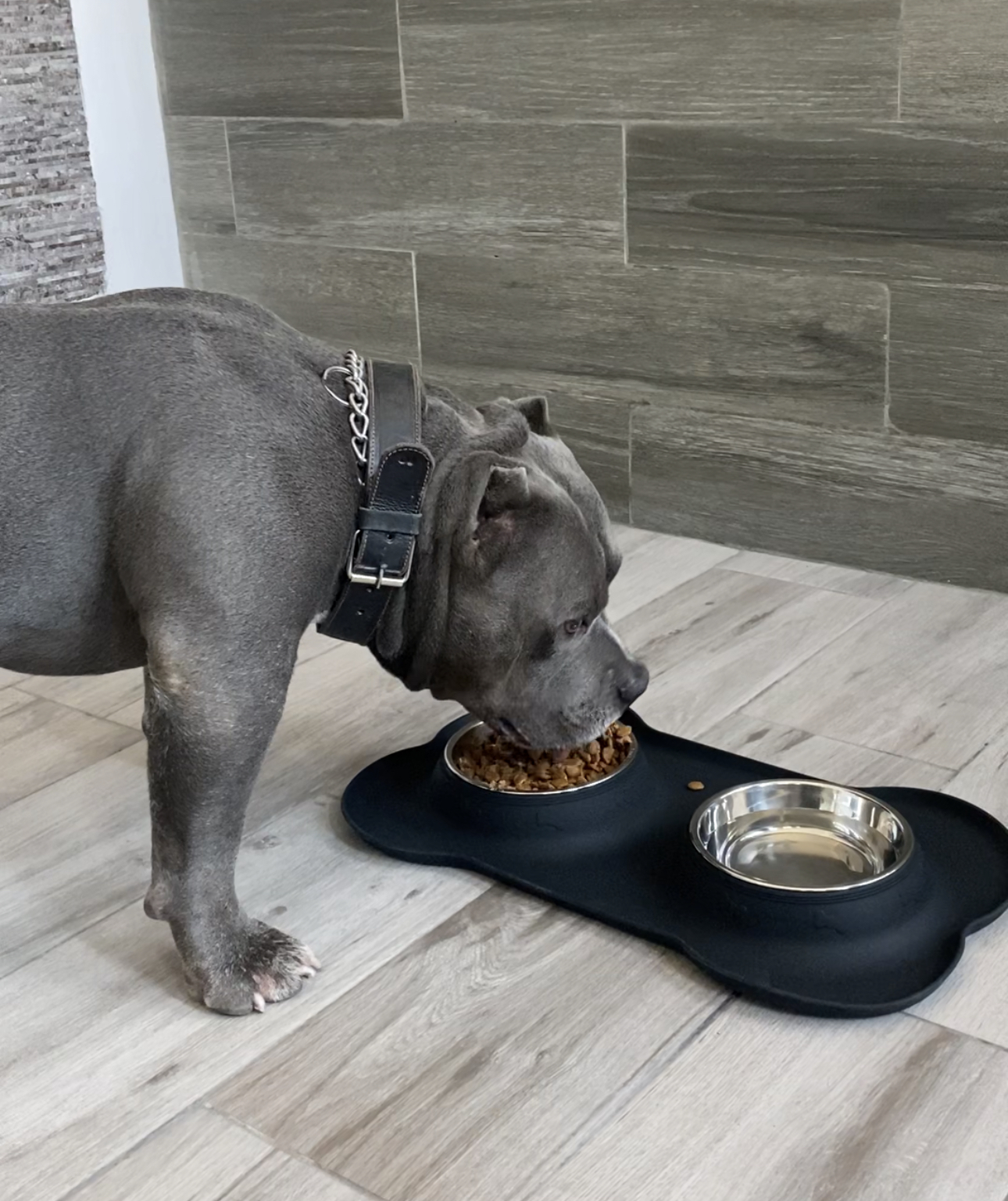 Tapete con Tazones en Acero Inoxidable para Perro Tamaño Grande