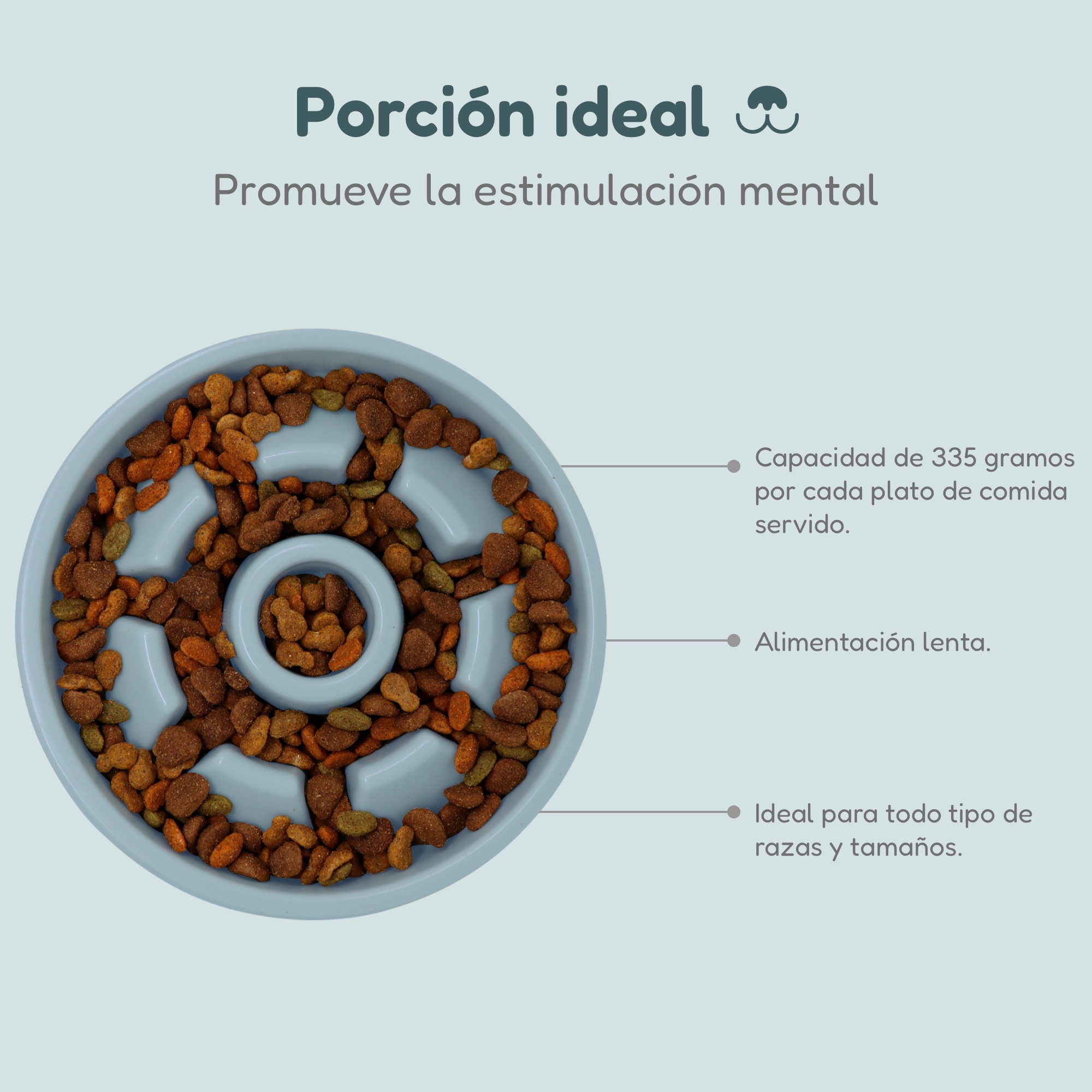 Plato Alimentación lenta para perro o gato 01