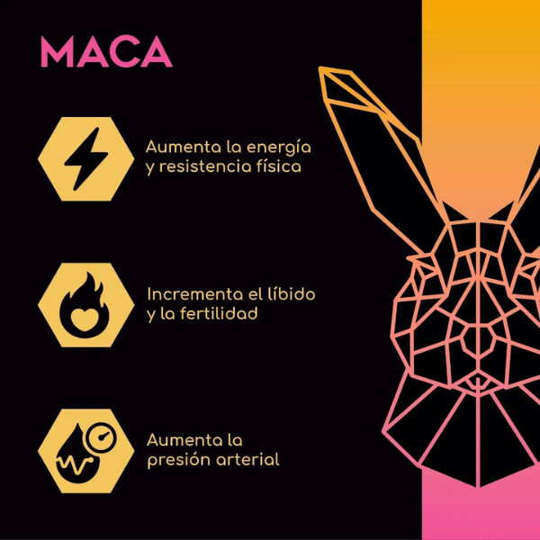 Maca Suplemento Superfood Luhumi Polvo 1kg