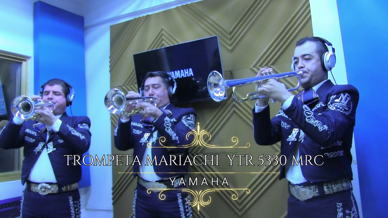 Trompeta Bb Plateada para Mariachi YTR-5330MRC Yamaha