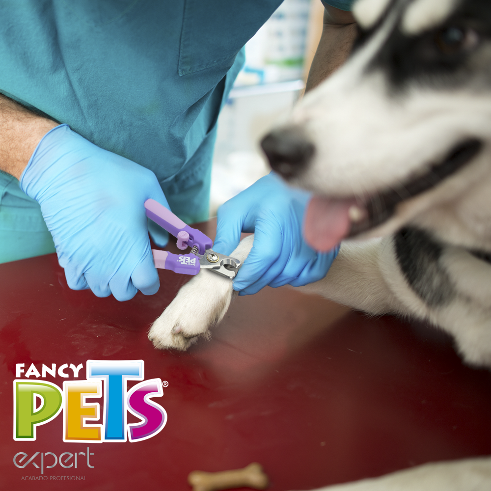 CORTAUÑAS C/LIMA P/GATO EXPERT