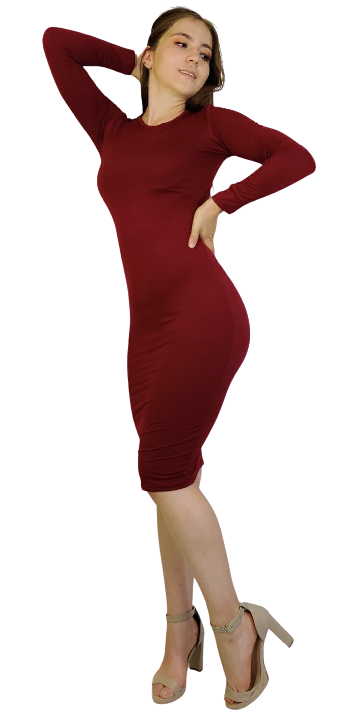 Vestido Londres manga larga corte lapiz ajustado curvy largo